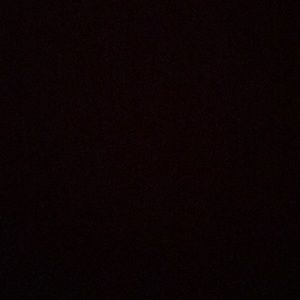 Meet your Posher, Rylie